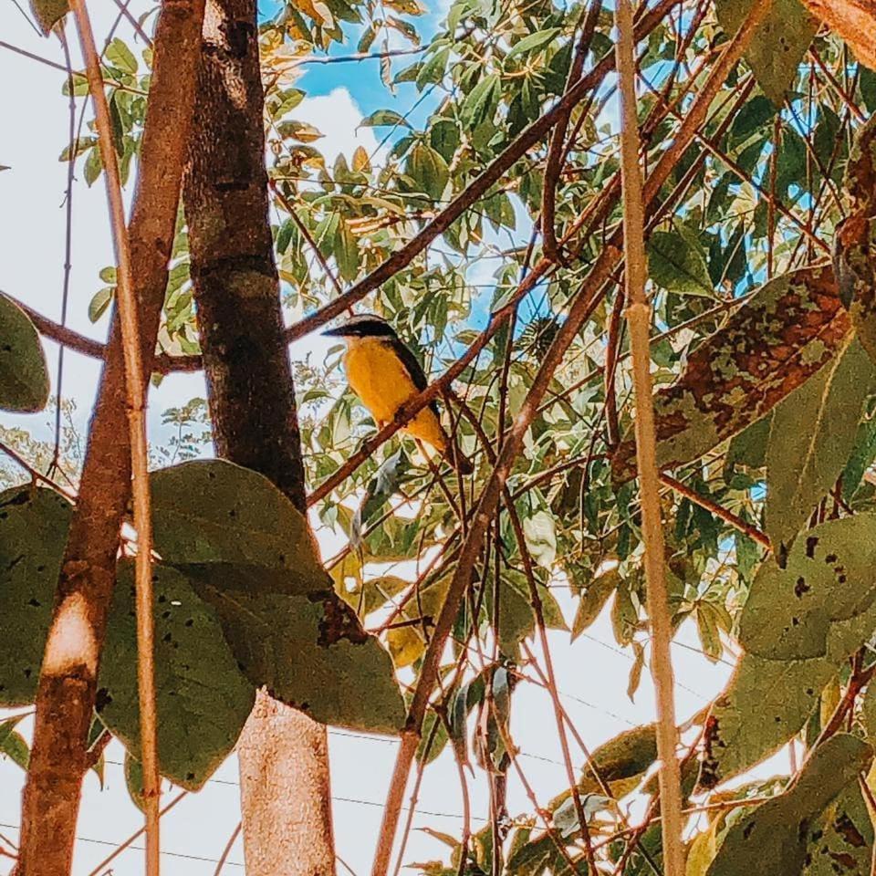 Templarios Ecovilla Pousada Pirenópolis Exterior foto