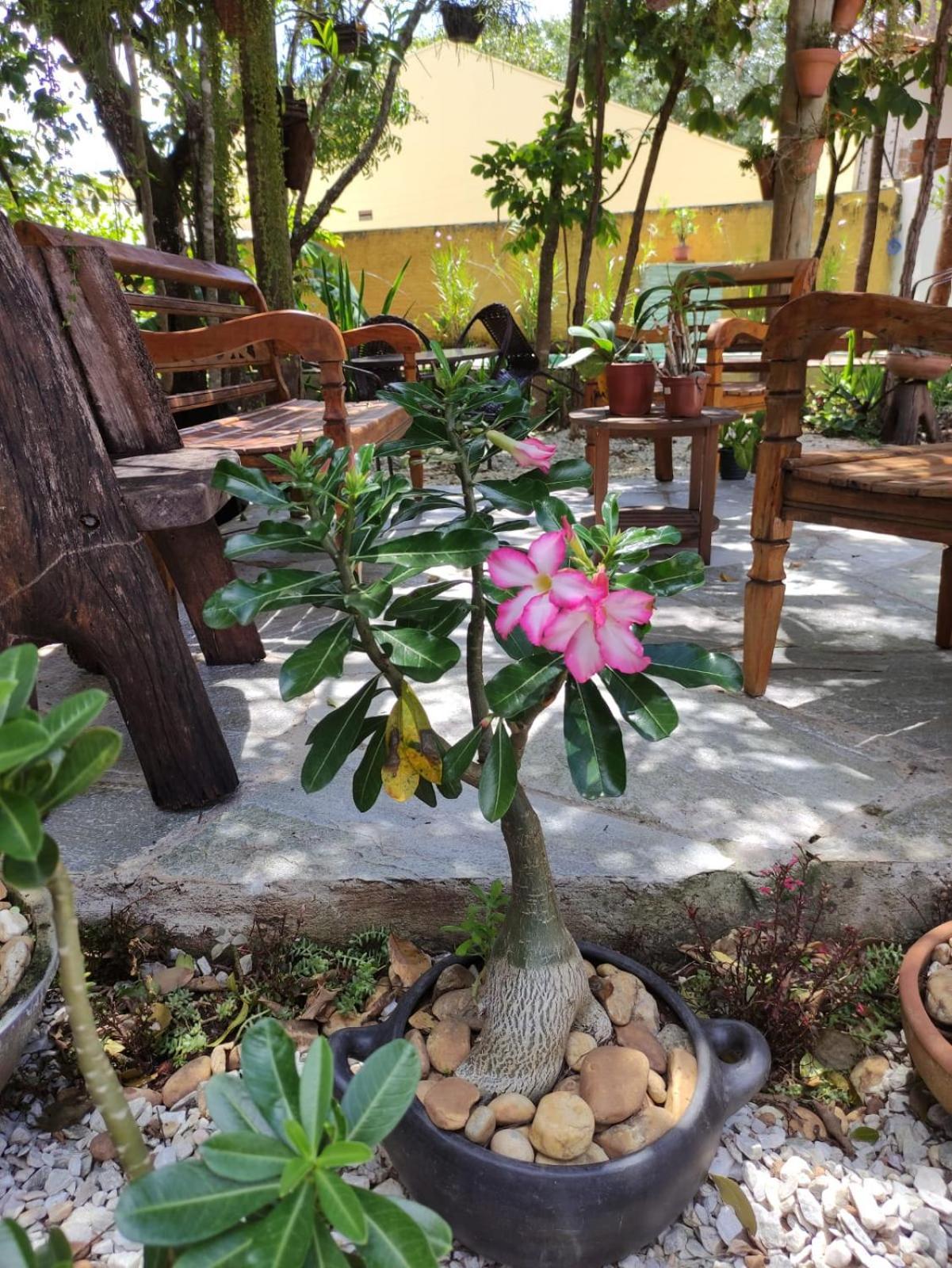 Templarios Ecovilla Pousada Pirenópolis Exterior foto